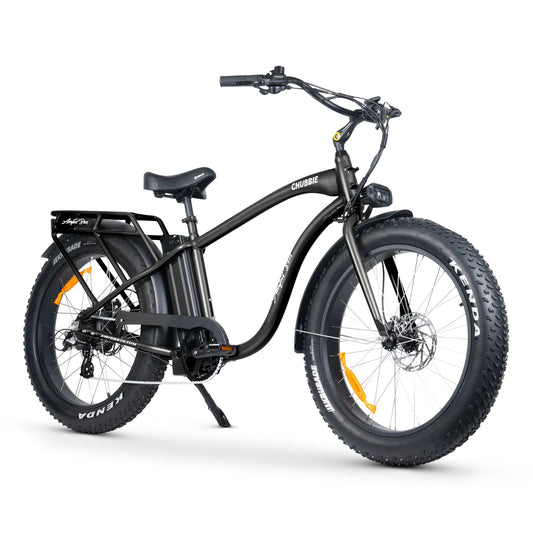 CHUBBIE 2 ELECTRIC BIKE Demo
