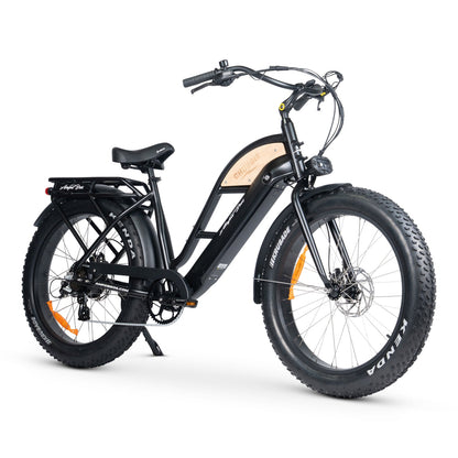CHUBBIE-S 3 ELECTRIC BIKE