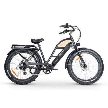 CHUBBIE-S 3 ELECTRIC BIKE