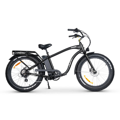 CHUBBIE 2 ELECTRIC BIKE Demo