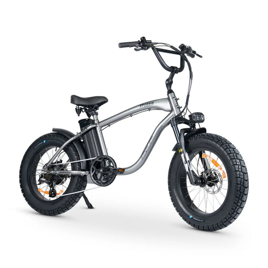 STUBBIE PRO ELECTRIC BIKE Demo